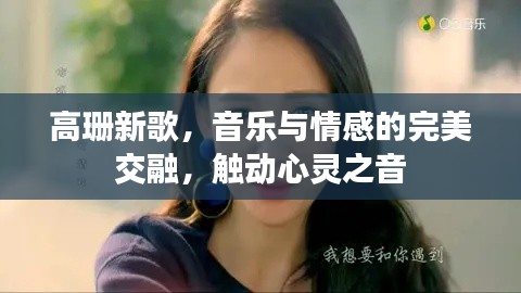 高珊新歌，音乐与情感的完美交融，触动心灵之音