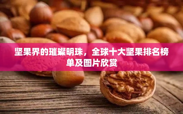 坚果界的璀璨明珠，全球十大坚果排名榜单及图片欣赏