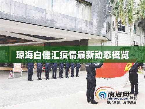 琼海白佳汇疫情最新动态概览