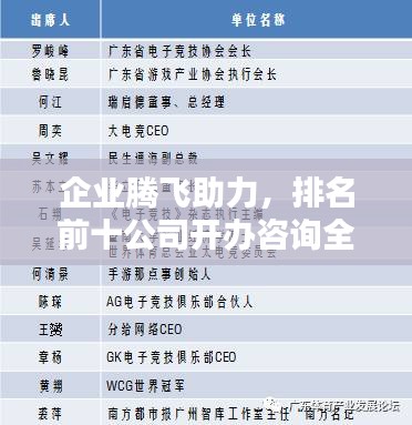 企业腾飞助力，排名前十公司开办咨询全解析