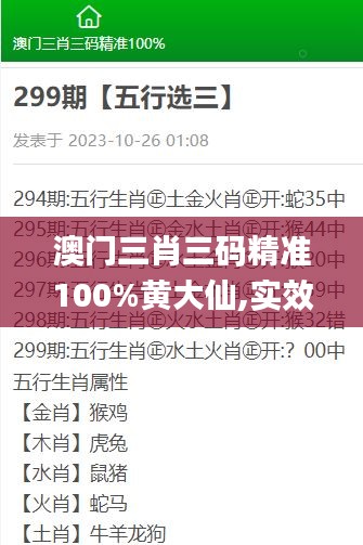 澳门三肖三码精准100%黄大仙,实效解读性策略_bundle59.119-5