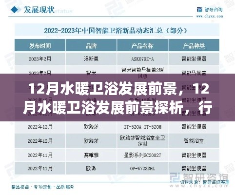 12月水暖卫浴行业发展趋势深度解析，前景展望与个人洞察