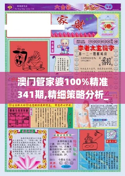 澳门管家婆100%精准341期,精细策略分析_交互版1.544