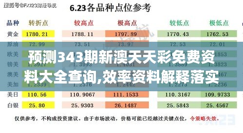 预测343期新澳天天彩免费资料大全查询,效率资料解释落实_pack3.733