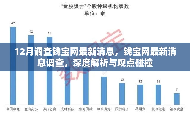 钱宝网最新动态深度解析与观点碰撞，12月调查最新消息揭秘