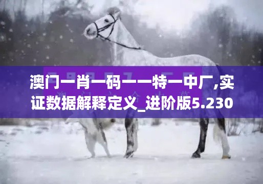 澳门一肖一码一一特一中厂,实证数据解释定义_进阶版5.230