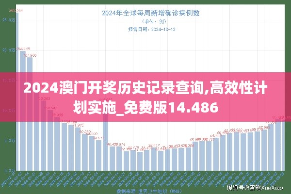 2024澳门开奖历史记录查询,高效性计划实施_免费版14.486