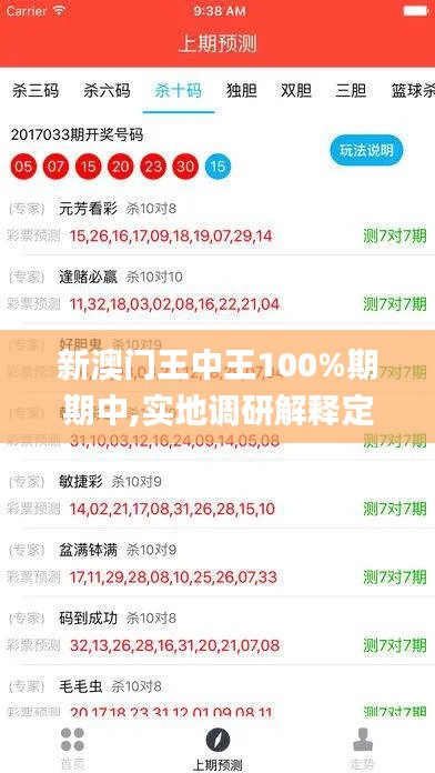 新澳门王中王100%期期中,实地调研解释定义_专业版4.847