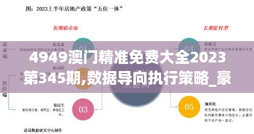 4949澳门精准免费大全2023第345期,数据导向执行策略_豪华款4.174