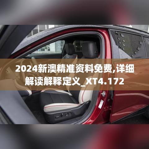 2024新澳精准资料免费,详细解读解释定义_XT4.172