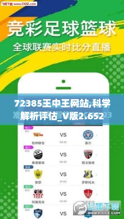 72385王中王网站,科学解析评估_V版2.652