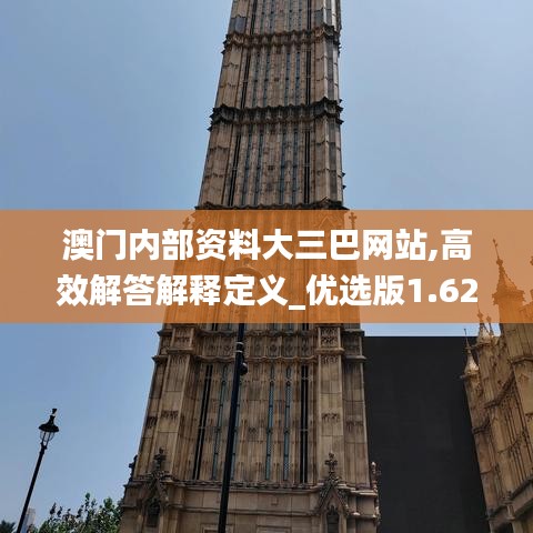 澳门内部资料大三巴网站,高效解答解释定义_优选版1.621