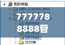 7777788888管家婆免费网,现象解答解释定义_精简版4.546