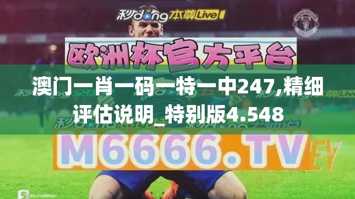 澳门一肖一码一特一中247,精细评估说明_特别版4.548