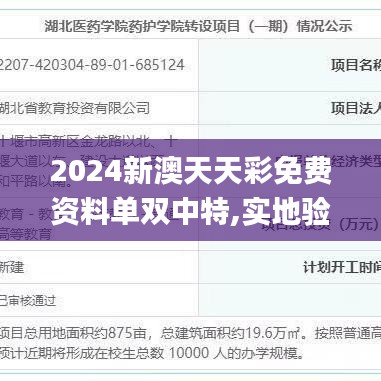 2024新澳天天彩免费资料单双中特,实地验证分析数据_QHD6.875