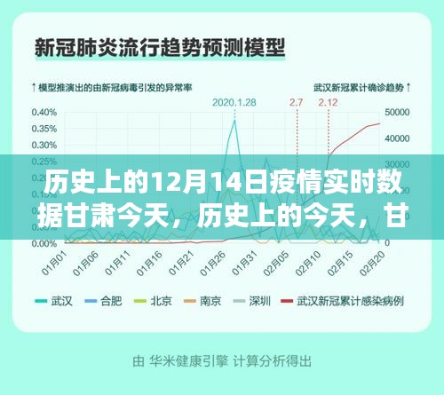 甘肃十二月十四日疫情实时数据深度解析及历史背景探究