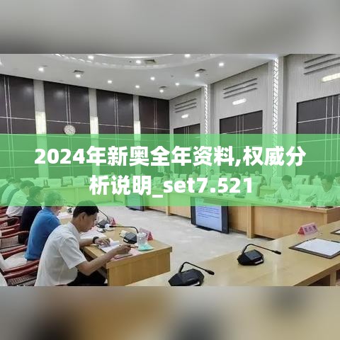 2024年新奥全年资料,权威分析说明_set7.521