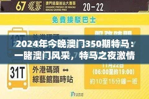 2024年今晚澳门350期特马：一睹澳门风采，特马之夜激情澎湃