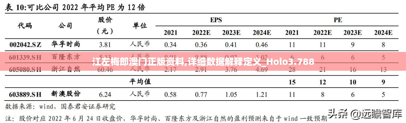 江左梅郎澳门正版资料,详细数据解释定义_Holo3.788