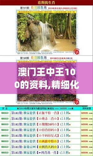 澳门王中王100的资料,精细化定义探讨_7DM10.632