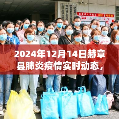 赫章县肺炎疫情实时动态分析报告（聚焦观点与立场，截至2024年12月14日）