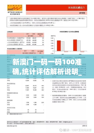 新澳门一码一码100准确,统计评估解析说明_2DM3.845