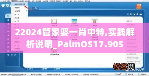 22024管家婆一肖中特,实践解析说明_PalmOS17.905