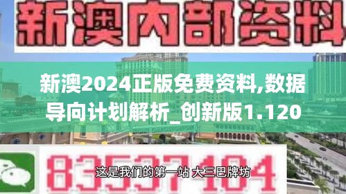 新澳2024正版免费资料,数据导向计划解析_创新版1.120