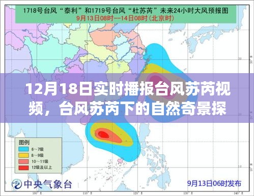 台风苏芮下的探索之旅，自然奇景与内心平静的追寻实时播报视频