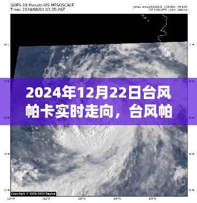 台风帕卡来袭，家庭温馨避风港湾实况追踪（2024年12月22日）