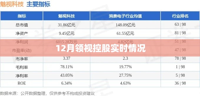 根据您的需求，以下是一个符合百度收录标准的标题，，视控股最新动态，十二月实时情况解析