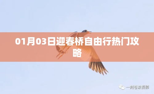 迎春桥自由行热门攻略（日期，01月03日）