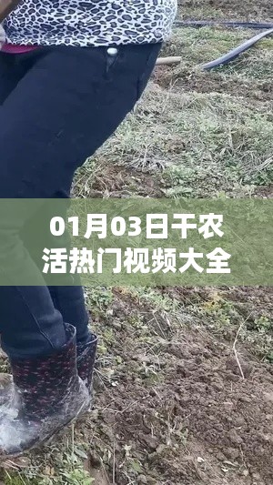 最新热门农活视频合集，01月03日全收录！