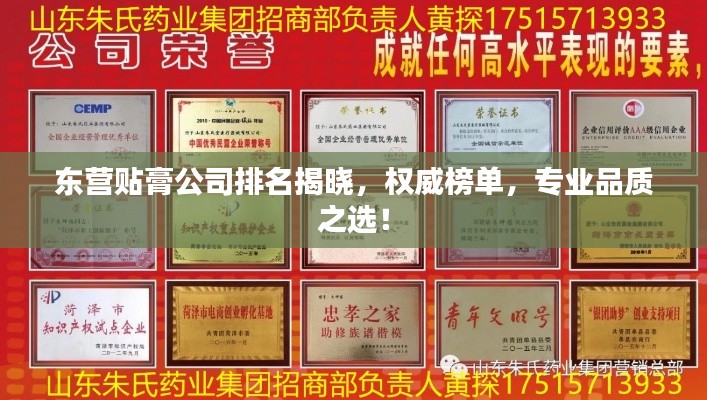 东营贴膏公司排名揭晓，权威榜单，专业品质之选！