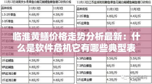 临淮黄鳝价格走势分析最新：什么是软件危机它有哪些典型表现 