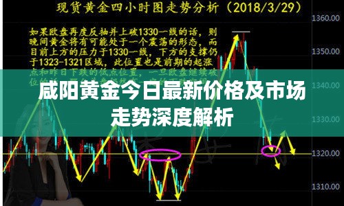 咸阳黄金今日最新价格及市场走势深度解析