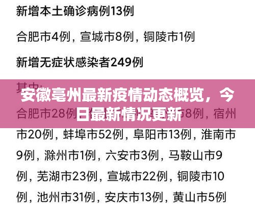 安徽亳州最新疫情动态概览，今日最新情况更新