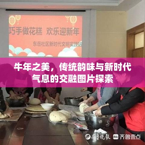 牛年之美，传统韵味与新时代气息的交融图片探索