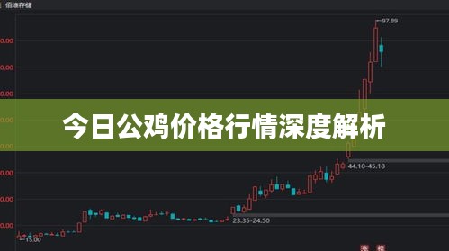 今日公鸡价格行情深度解析