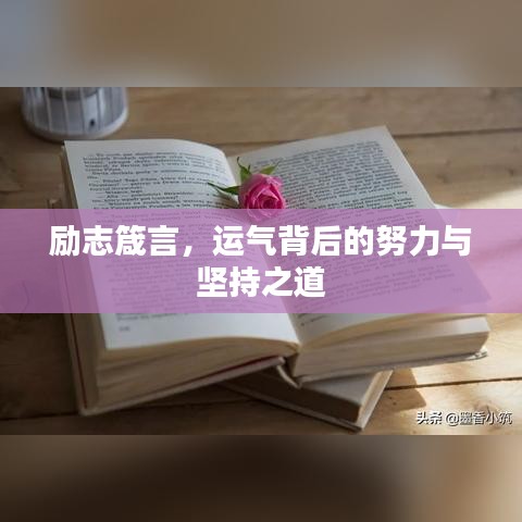 励志箴言，运气背后的努力与坚持之道