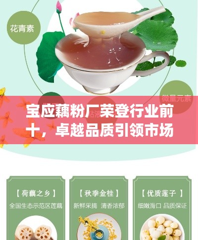 宝应藕粉厂荣登行业前十，卓越品质引领市场新潮流