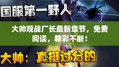 大帅观战厂长最新章节，免费阅读，精彩不断！