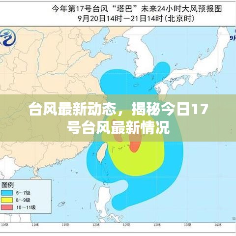 台风最新动态，揭秘今日17号台风最新情况