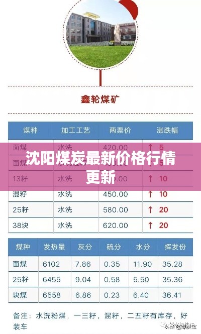 沈阳煤炭最新价格行情更新