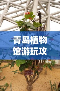 青岛植物馆游玩攻略，探索绿色世界的绝佳指南！