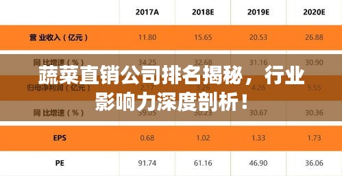 蔬菜直销公司排名揭秘，行业影响力深度剖析！