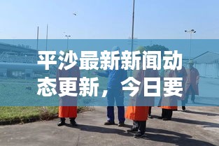 平沙最新新闻动态更新，今日要闻速递