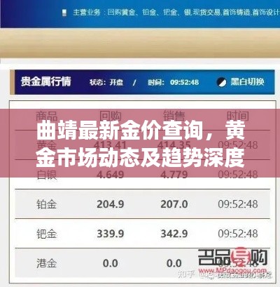 曲靖最新金价查询，黄金市场动态及趋势深度解析