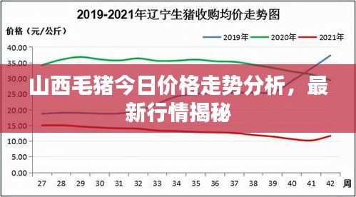 山西毛猪今日价格走势分析，最新行情揭秘