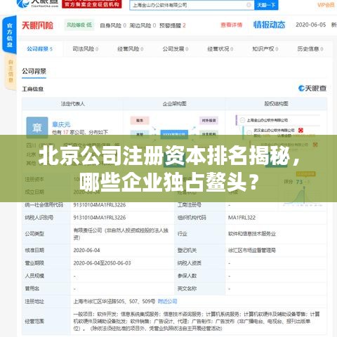 北京公司注册资本排名揭秘，哪些企业独占鳌头？